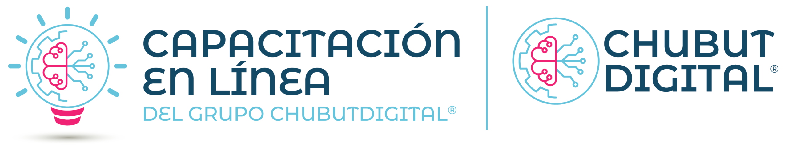 Capacitación en Linea