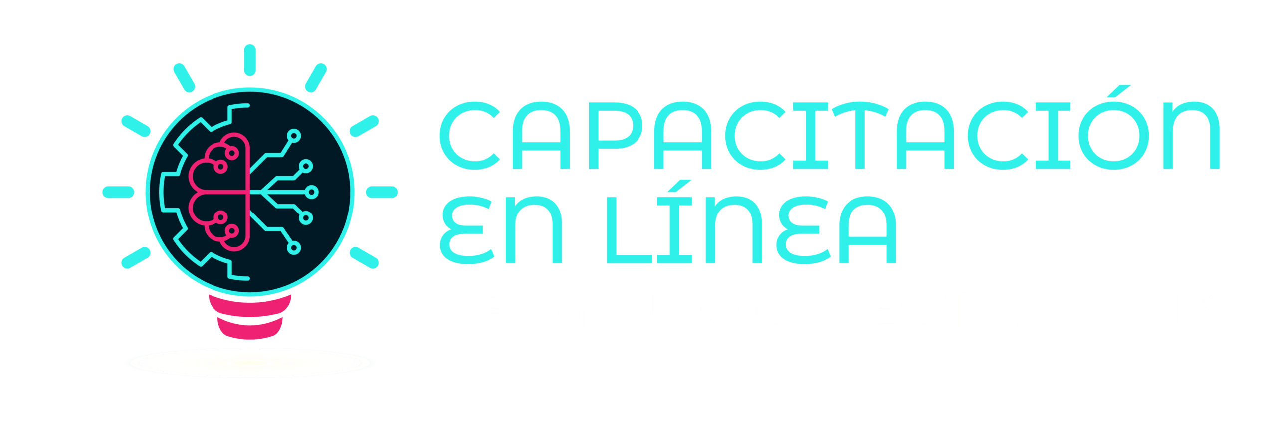 Capacitación en Línea